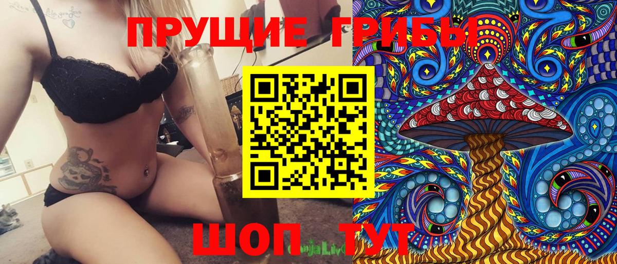 Галлюциногенные грибы Cubensis  Вход с VPN  Псилоцибиновые грибы GOLDEN TEACHER  Ставрополь 